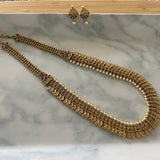 Elegant Lakshmi Coin Necklace